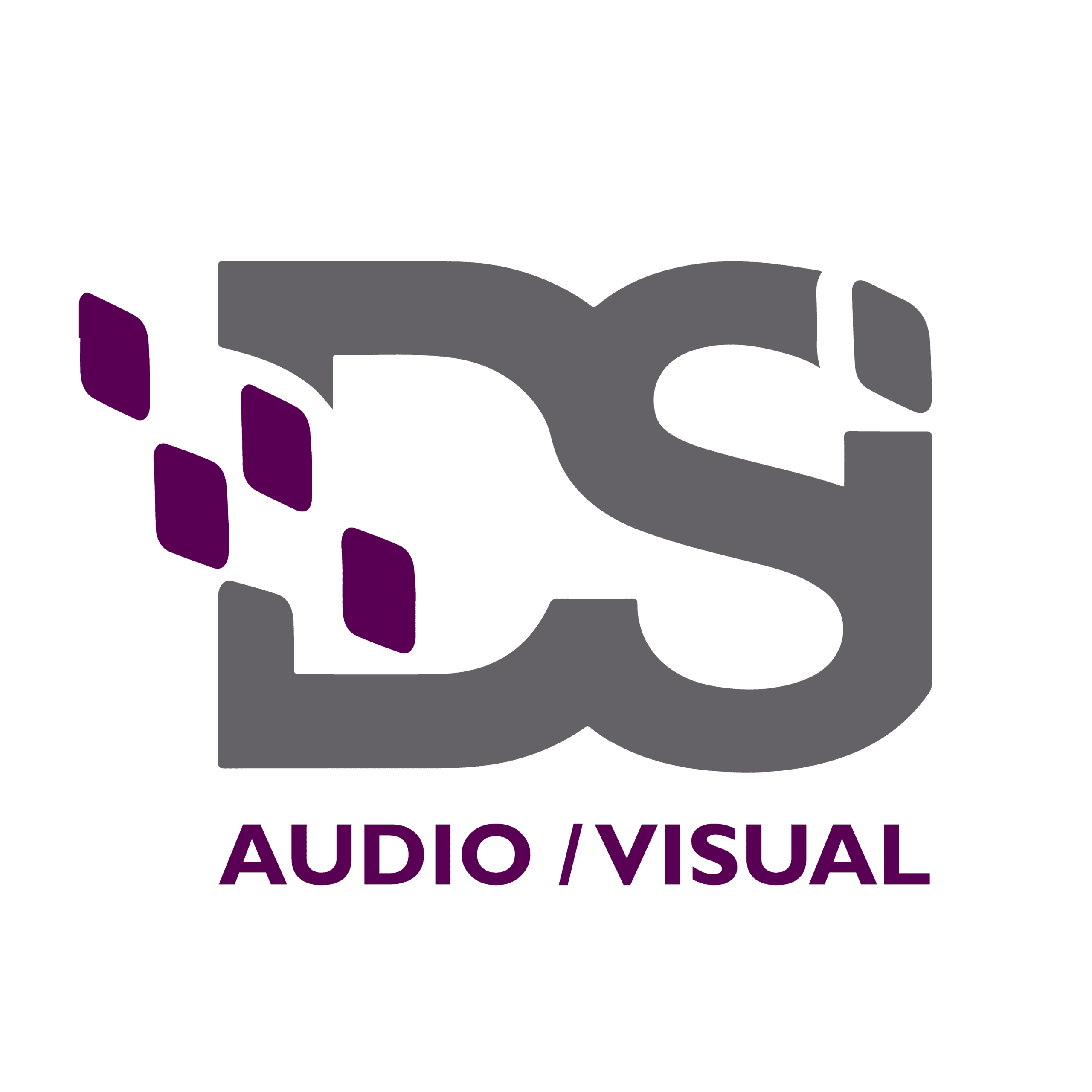 DSI Audio Visual logo